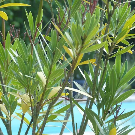 Cocooning Avec Piscine Partagee Au Coeur De La Campagne Sarthoise, Proche Zoo Et Circuit Du Mans - Fr-1-410-331 Dom wakacyjny *