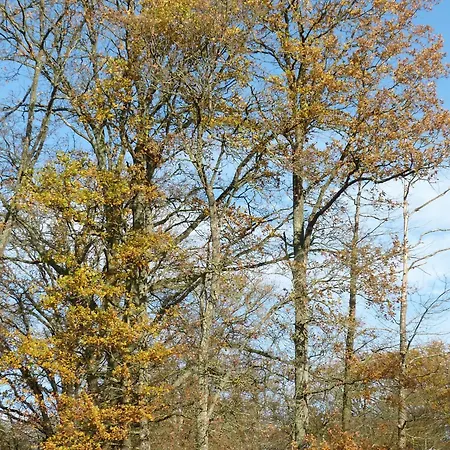 Dom wakacyjny Cocooning Avec Piscine Partagee Au Coeur De La Campagne Sarthoise, Proche Zoo Et Circuit Du Mans - Fr-1-410-331