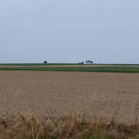 Dom wakacyjny Cocooning Avec Piscine Partagee Au Coeur De La Campagne Sarthoise, Proche Zoo Et Circuit Du Mans - Fr-1-410-331 *