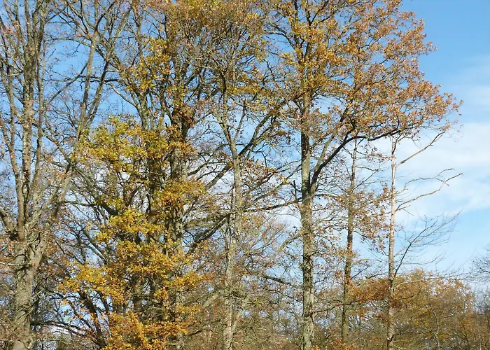 Prázdninový dům Cocooning Avec Piscine Partagee Au Coeur De La Campagne Sarthoise, Proche Zoo Et Circuit Du Mans - Fr-1-410-331